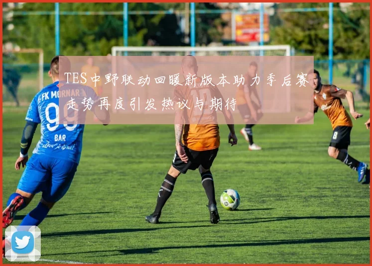 TES中野联动回暖新版本助力季后赛走势再度引发热议与期待